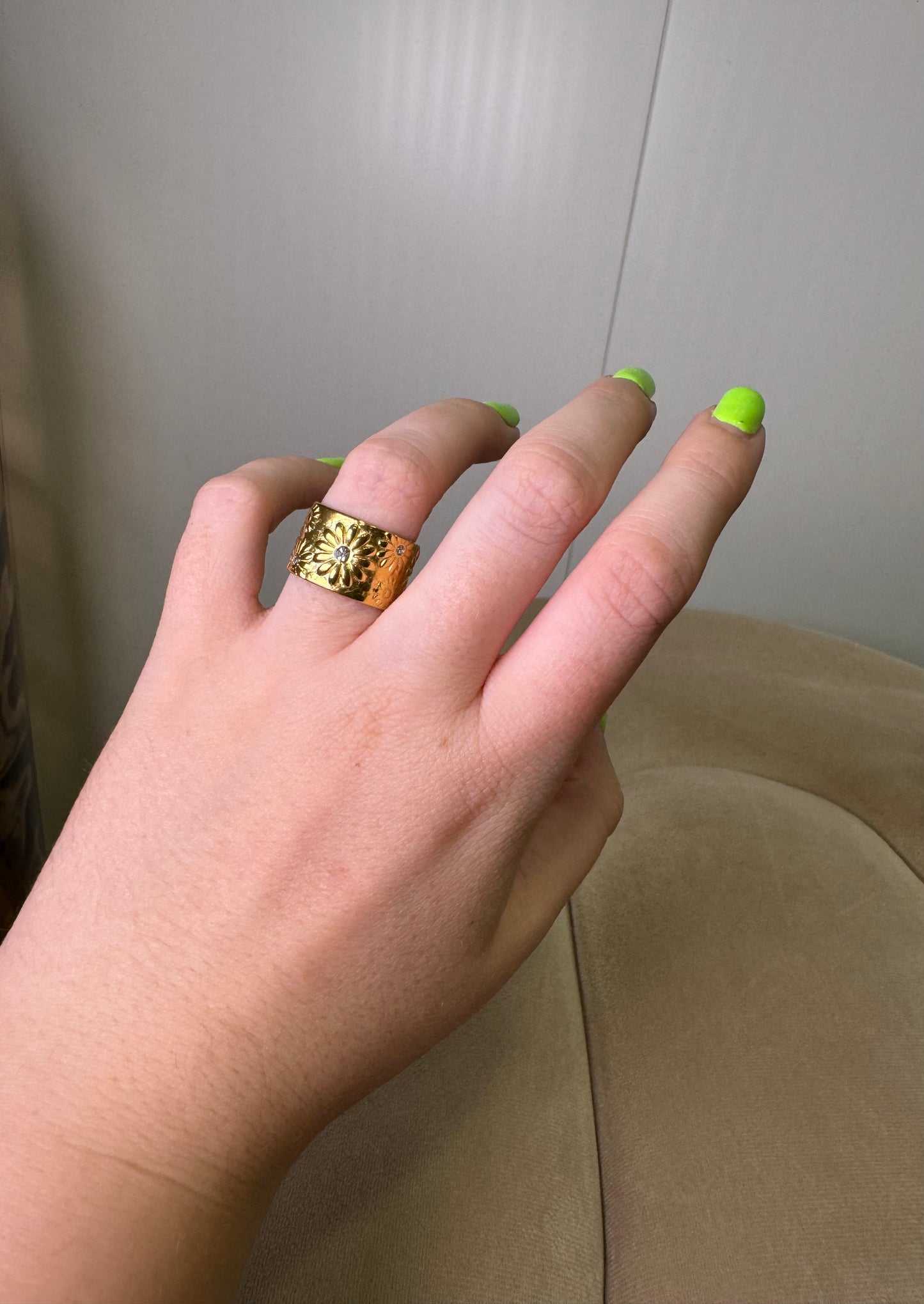 Anillo Banda