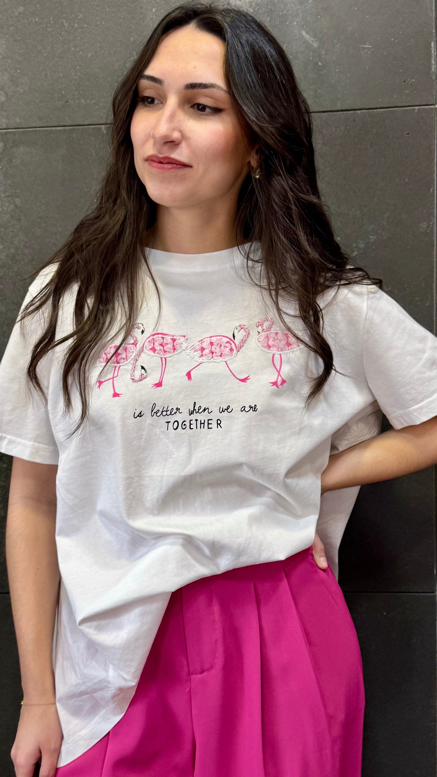 Camiseta Flamencos