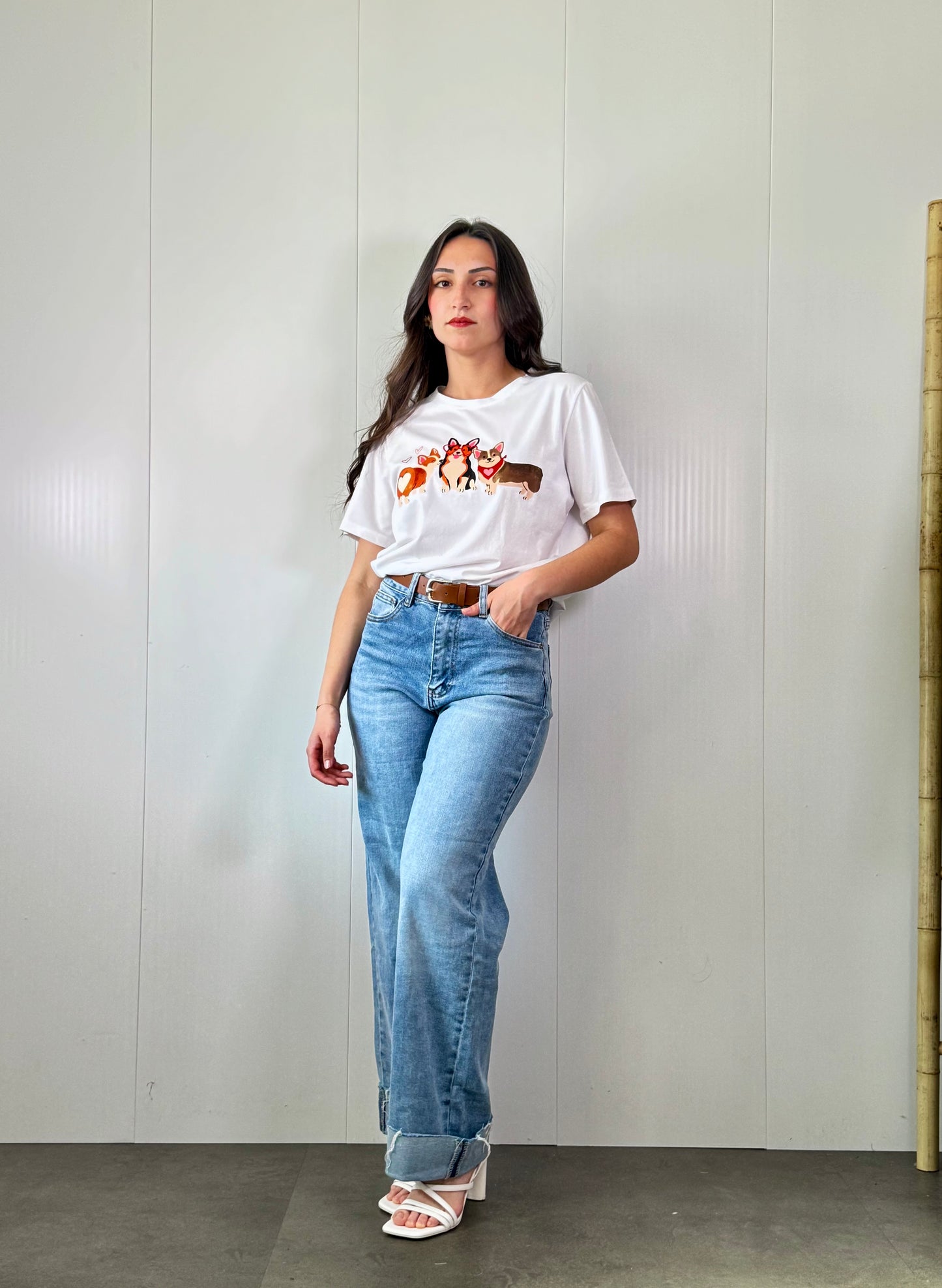 Camiseta Corgis