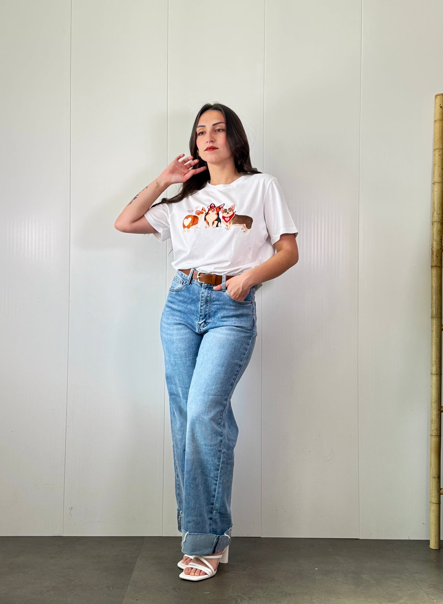 Camiseta Corgis