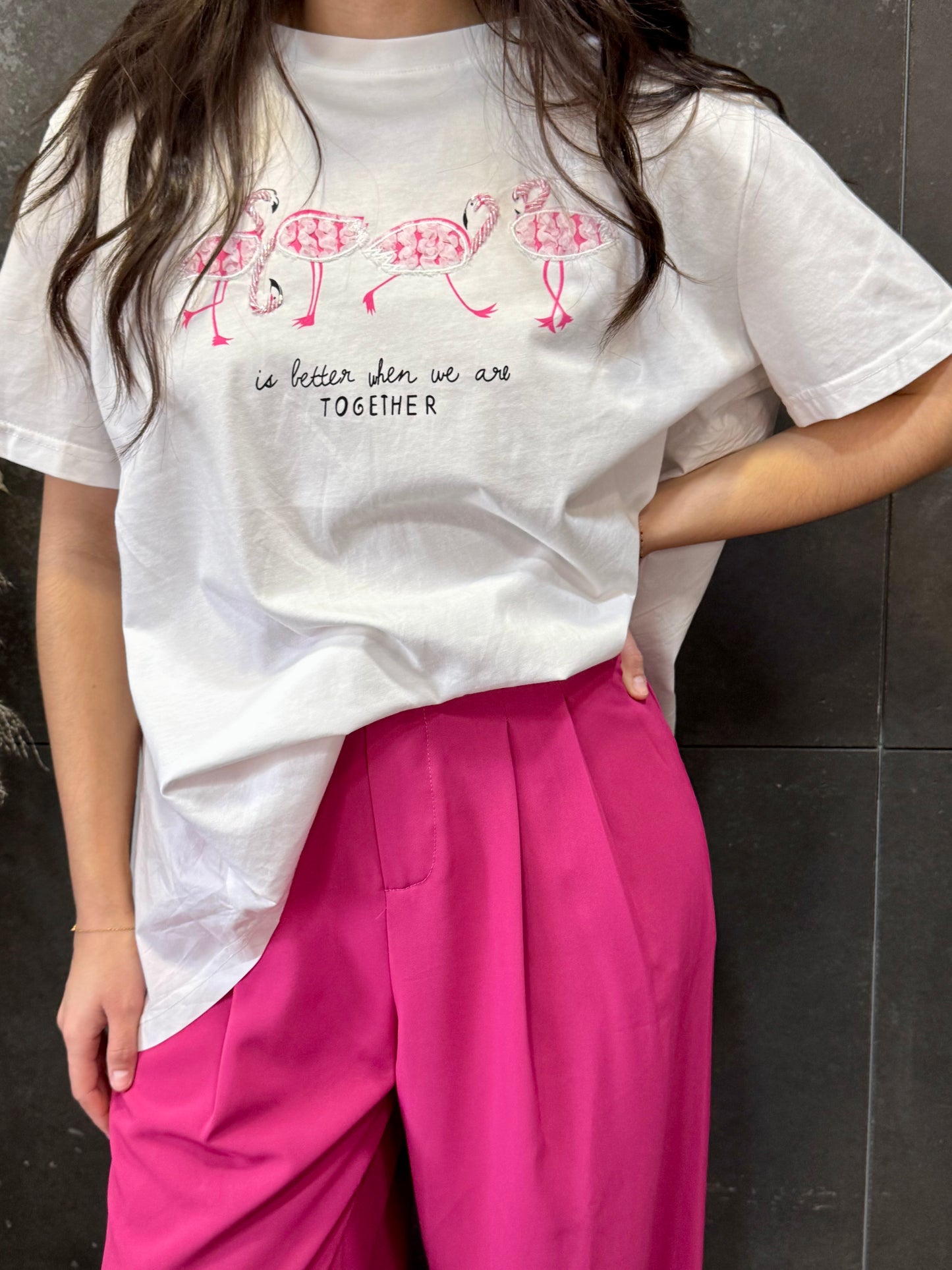 Camiseta Flamencos