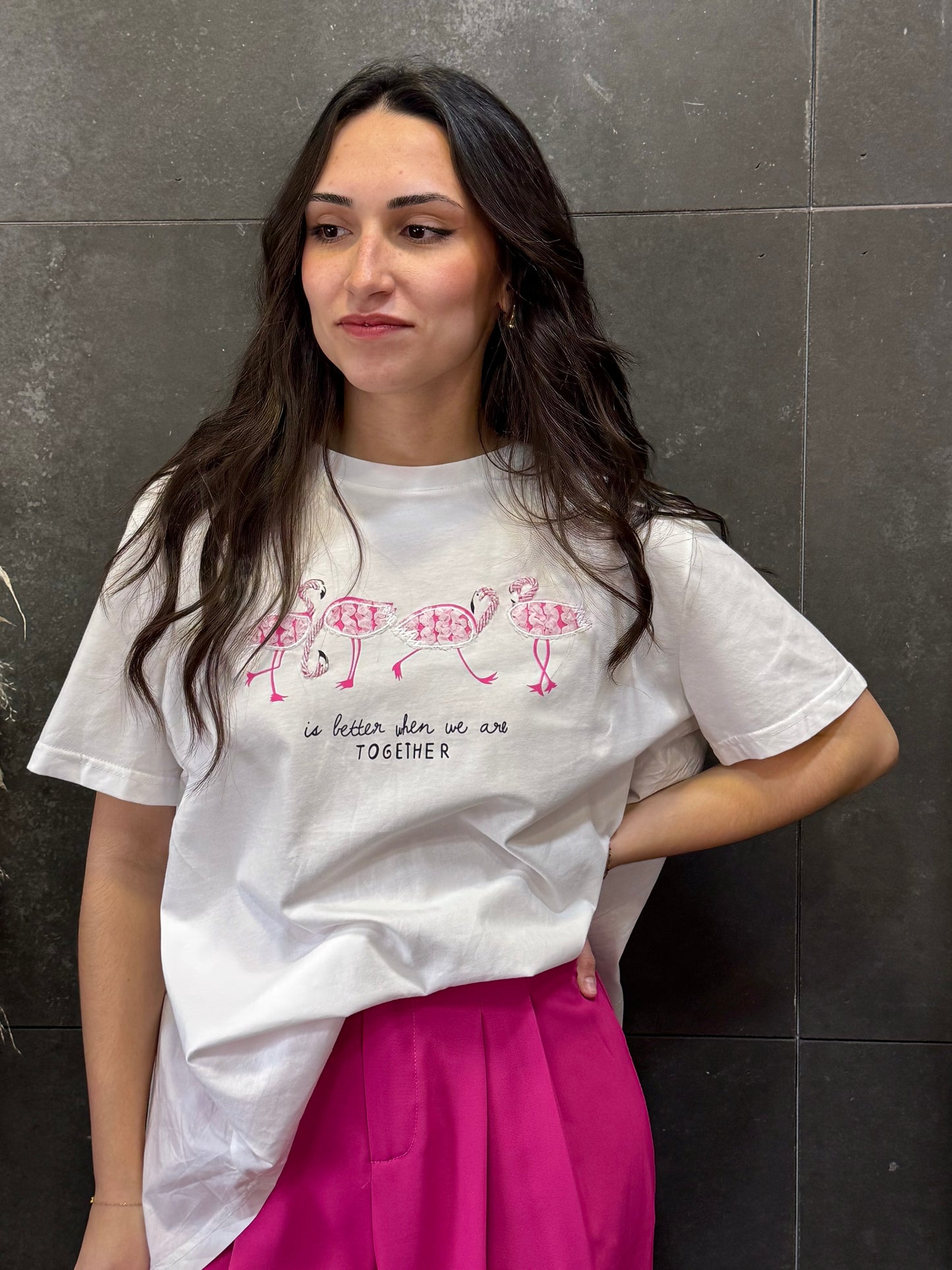 Camiseta Flamencos