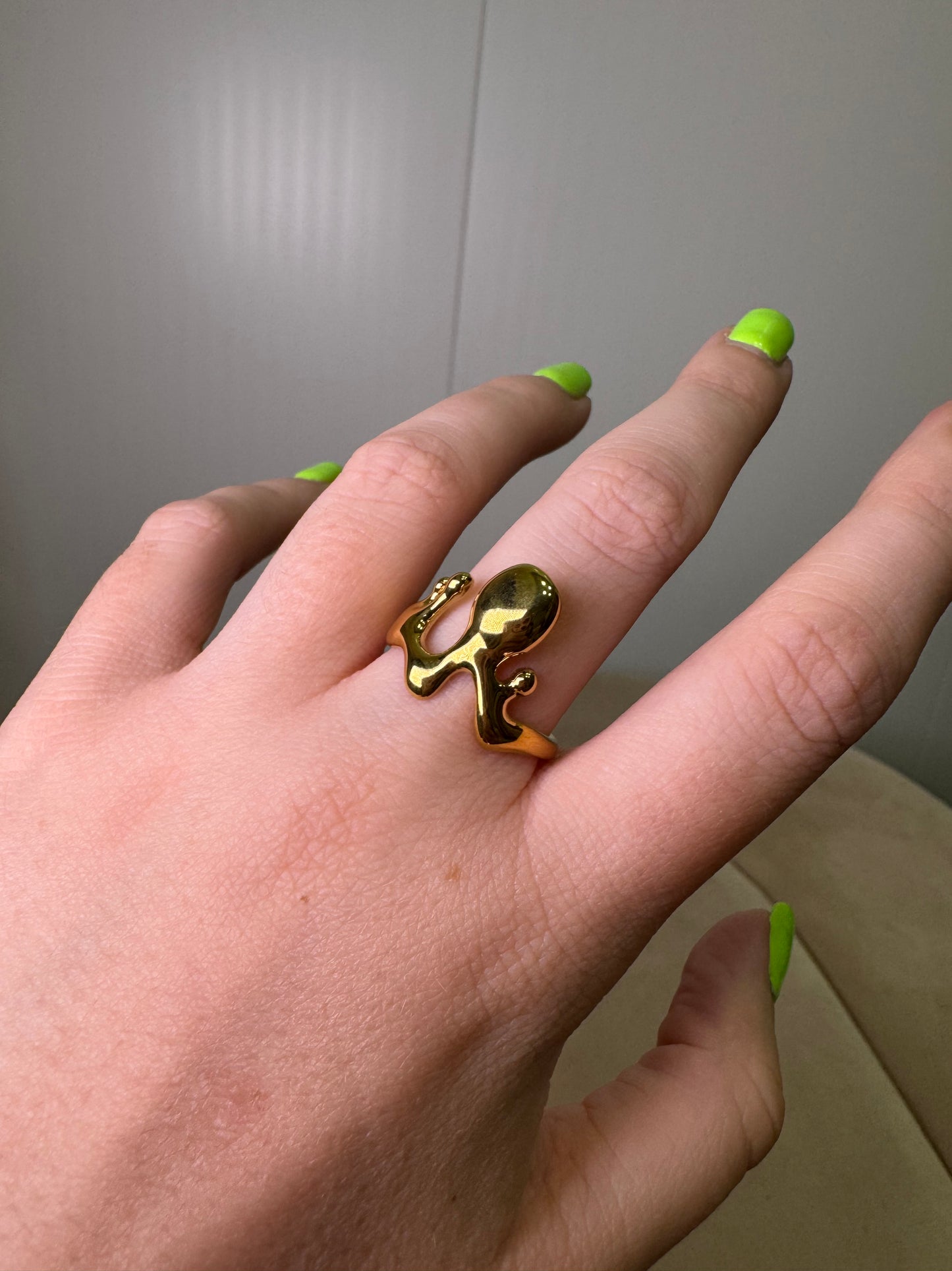 Anillo Namibia